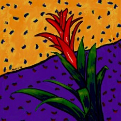  BROMELIAD